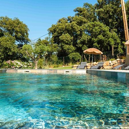 Le Clos Des Eucalyptus Le Plan-de-la-Tour エクステリア 写真