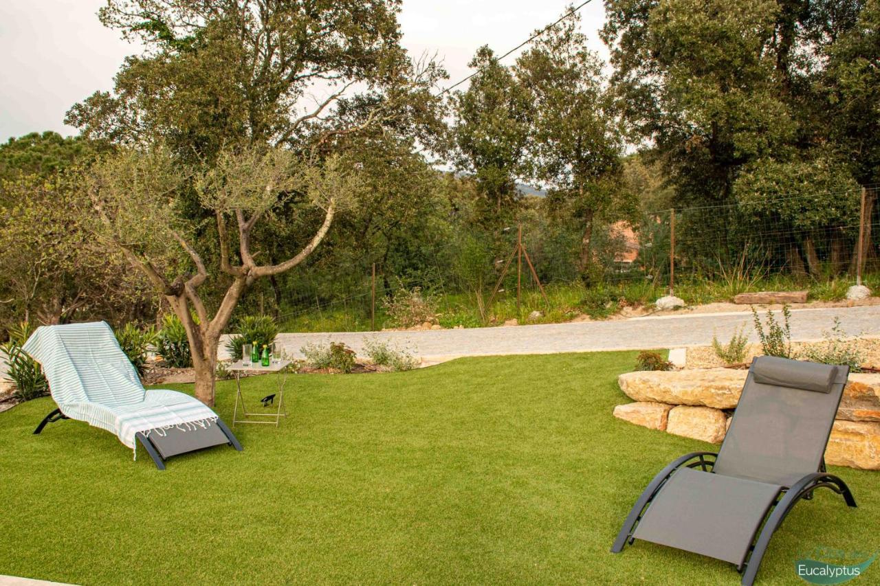 Le Clos Des Eucalyptus Le Plan-de-la-Tour エクステリア 写真