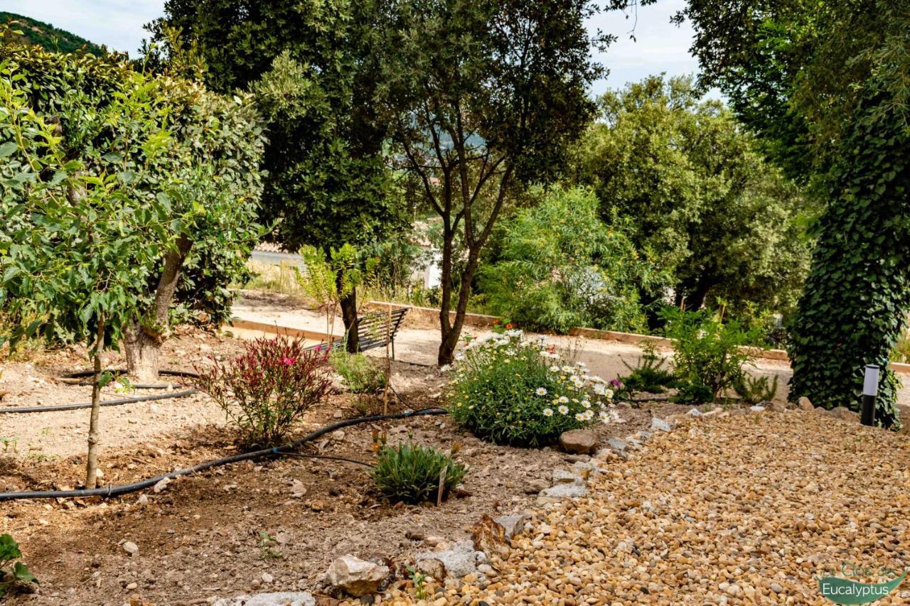 Le Clos Des Eucalyptus Le Plan-de-la-Tour エクステリア 写真