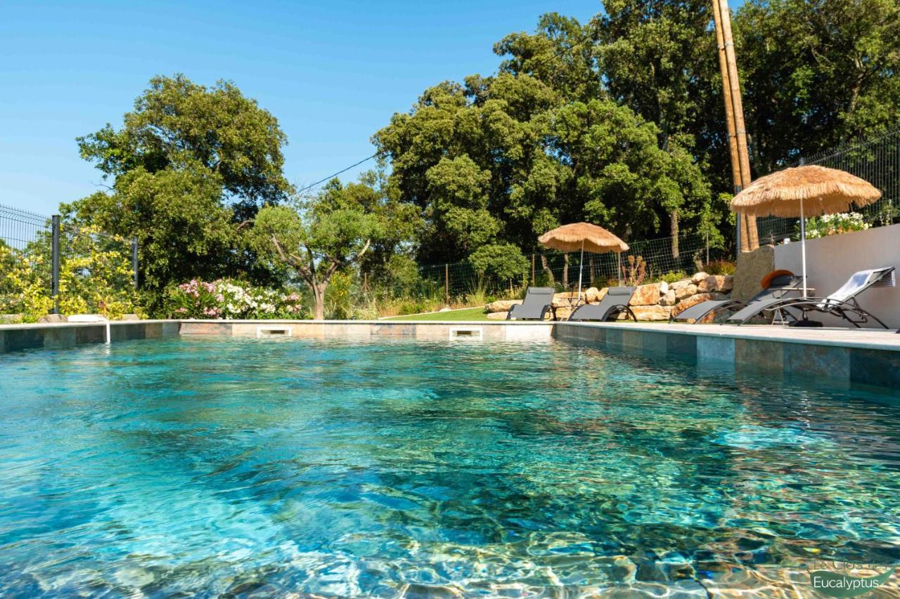 Le Clos Des Eucalyptus Le Plan-de-la-Tour エクステリア 写真