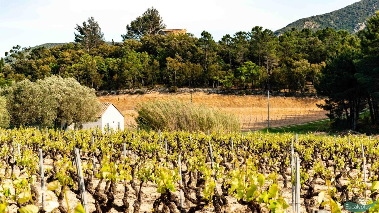 Le Clos Des Eucalyptus Le Plan-de-la-Tour エクステリア 写真