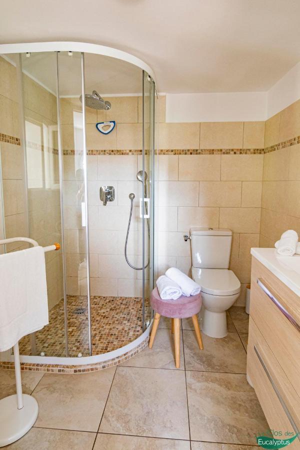 Le Clos Des Eucalyptus Le Plan-de-la-Tour エクステリア 写真
