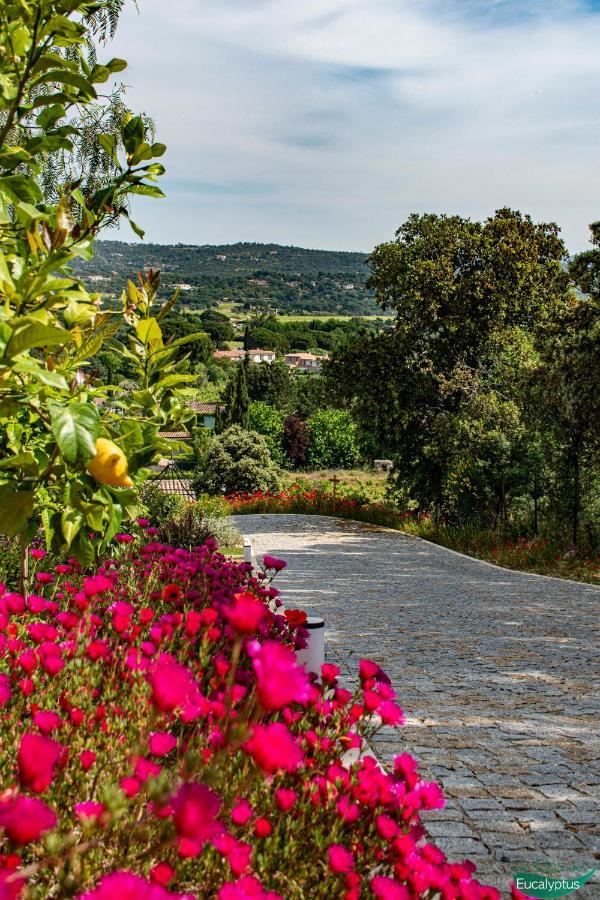 Le Clos Des Eucalyptus Le Plan-de-la-Tour エクステリア 写真