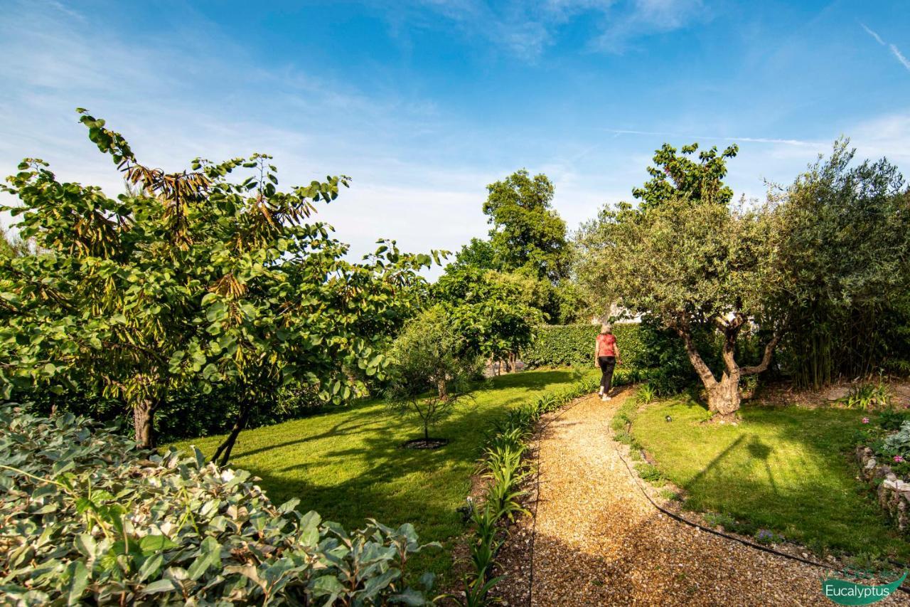 Le Clos Des Eucalyptus Le Plan-de-la-Tour エクステリア 写真