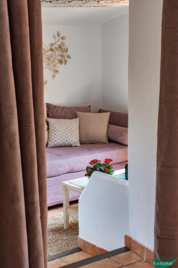 Le Clos Des Eucalyptus Le Plan-de-la-Tour エクステリア 写真