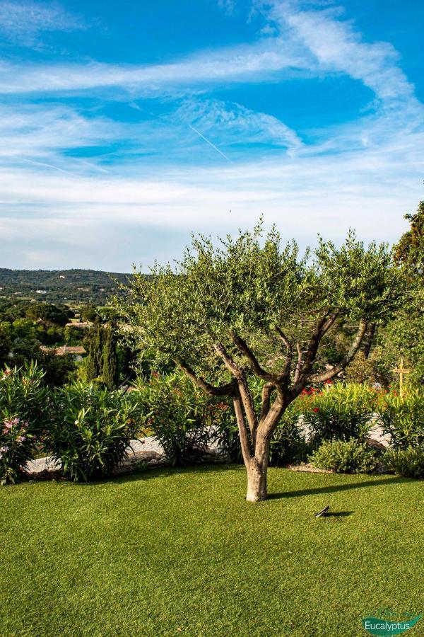 Le Clos Des Eucalyptus Le Plan-de-la-Tour エクステリア 写真