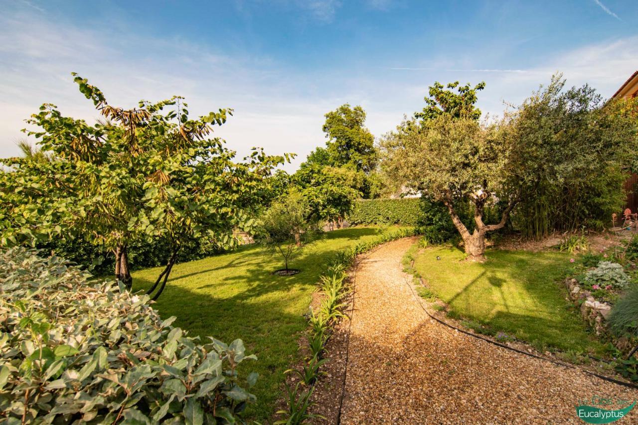 Le Clos Des Eucalyptus Le Plan-de-la-Tour エクステリア 写真