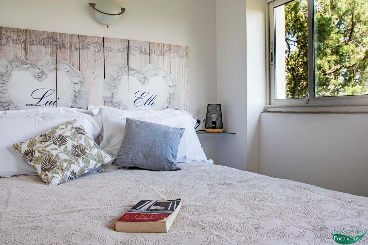 Le Clos Des Eucalyptus Le Plan-de-la-Tour エクステリア 写真